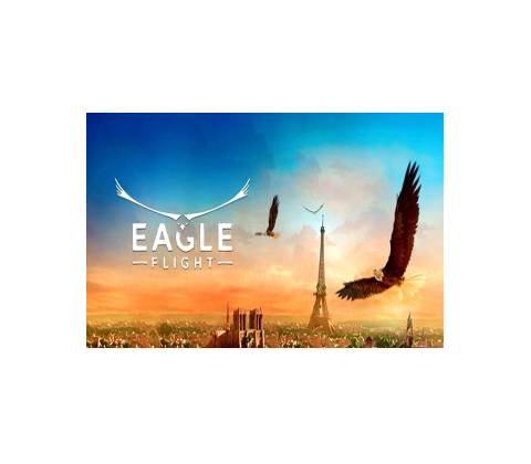 Eagle Flight