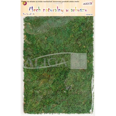 Umelý mach A4