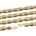 Connex 12sG