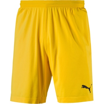 PUMA FINAL evoKNIT GK Shorts M