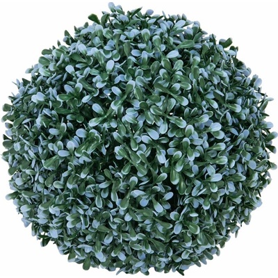 Zimostráz - Buxus koule modrá, 22cm