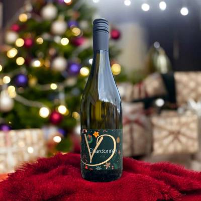 Víno Drábek Chardonnay 2025 12,5% 0,75 l (holá láhev)