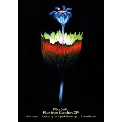 Plant from elsewhere XIV