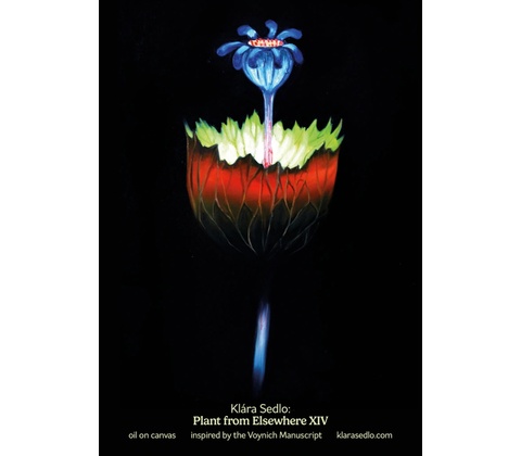 Plant from elsewhere XIV