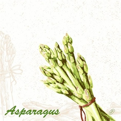 Dunisoft Ubrousek Ggreen asparagus 60ks 40x40cm