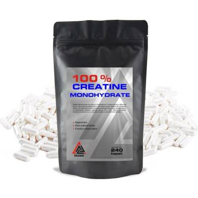 VALKNUT 100 % Creatine Monohydrate 240 kapslí