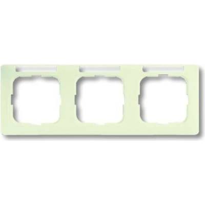 Busch-Jaeger 2CKA001754A4097