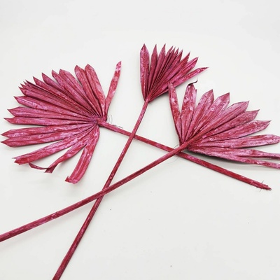 Palm sun frosted red - 20ks