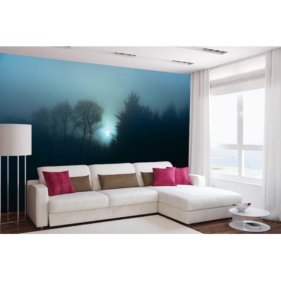 DIMEX ART Самозалепваща се флизелинова фототапета мъглива нощна гора 375 x 250 см