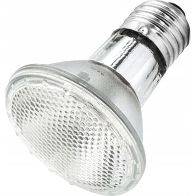 Repti Zoo Halogen Basking Spot 50 W