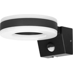 ADVITI Howlit AD-OP-6205BLPMR4