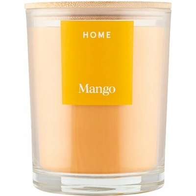 F&F Home Mango 500 g