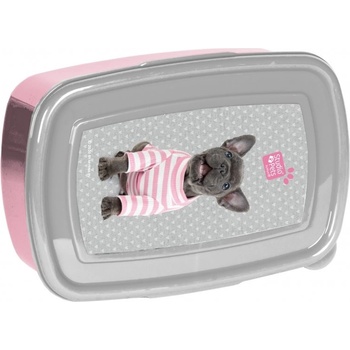 Image 1 of PASO - Кутия за храна Studio Pets