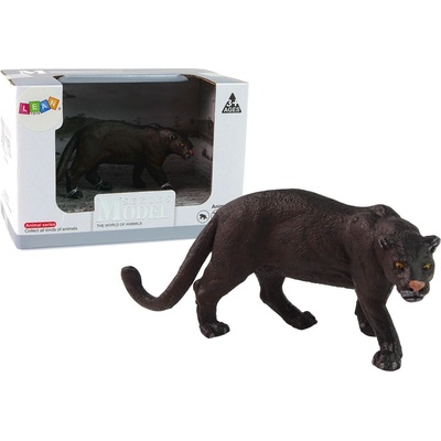 mamido čiernu partnera