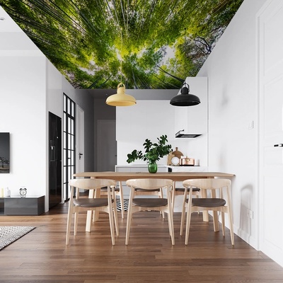 Art Gift Decor Фототапет - Вековни дървета