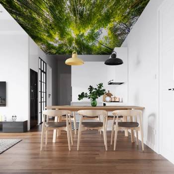 Art Gift Decor Фототапет - Вековни дървета