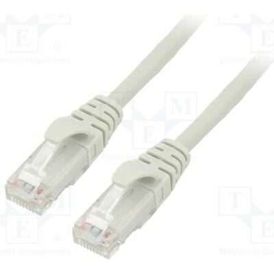 Telegärtner 100008394 Patch U/UTP Kat: 5 RJ45 vidlice z obou stran lanko Cu 2m