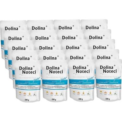 Dolina Noteci Premium Small Junior s jehněčími žaludky 20 x 100 g