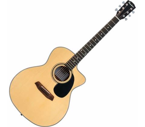 Pasadena PGC-100