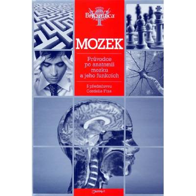 Mozek - Průvodce po anatomii mozku a jeh