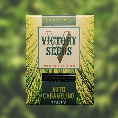 Victory Seeds AUTO Caramelino semena neobsahují THC 5 ks