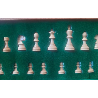 Magneticke šachy de luxe 21x21 cm překládací box