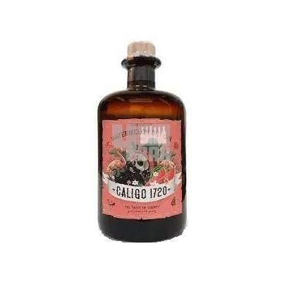 Caligo 1720 Watermelon Dry gin 42% 0,5 l (holá láhev)