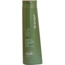 Joico Body Luxe Shampoo 300 ml