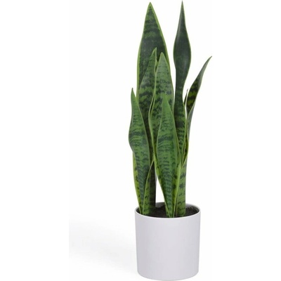Umelá rastlina (výška 55 cm) Sansevieria – Kave Home