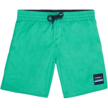 O'Neill Pb Vert Shorts zelená
