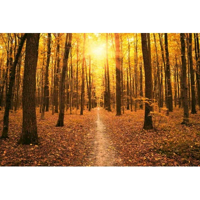 DIMEX ART Флизелинов фототапет златна гора 375 x 250 см