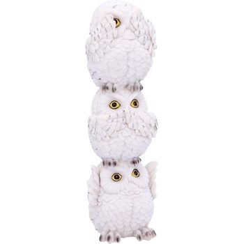 Nemesis Now Статуетка Nemesis Now Adult: Humor - Wisest Totem, 20 cm (U4771P9)
