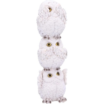 Nemesis Now Статуетка Nemesis Now Adult: Humor - Wisest Totem, 20 cm (U4771P9)