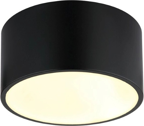 Globo 56964S