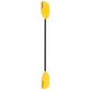 Werner Rio FG