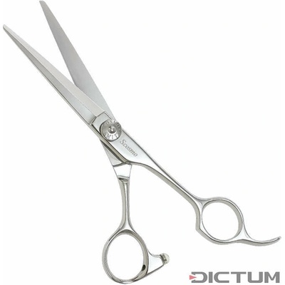 Dictum 708164 - Japanese HairCutting Scissors Powerful 5.5" - Nožnice