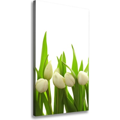 Vertikálny foto-obraz canvas do obývačky Biele tulipány 50x100 cm