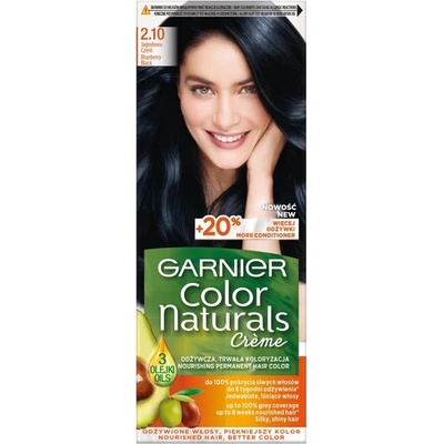 Garnier Color Naturals Krémová farba na vlasy 2.10 Berry Black