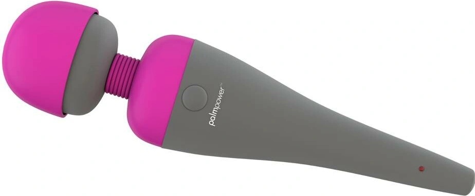 Palmpower Personal Massager