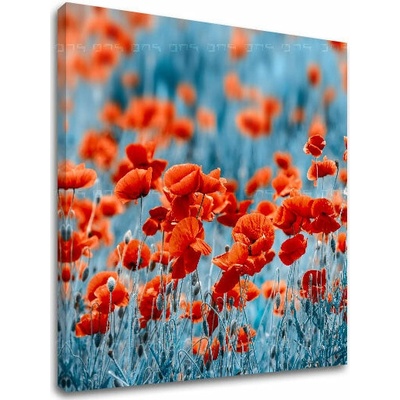 Obraz na stenu ČERVENÉ KVETY_159-12 - 50x50 cm