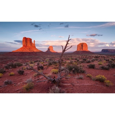 Komar Vliesová fototapeta Wild West Heroes 450 x 280 cm