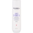 Goldwell Dualsenses Just Smooth Shampoo 250 ml