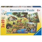 Ravensburger Домашни любимци 3 x 49d (09265)