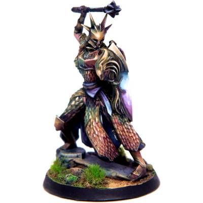 Разширение за настолна игра Eldfall Chronicles: Northern Wind - Citadel Guard (ELDSMCG01)