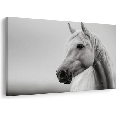 Obraz bílý kůň v mlze - 60x40