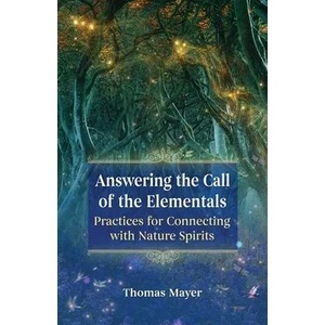 Answering the Call of the Elementals (ISBN: 9781644112144)