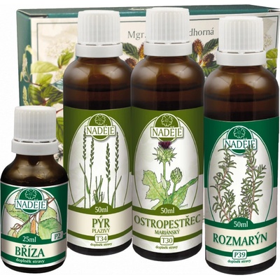 Naděje K41 Jarná detoxikácia 175 ml