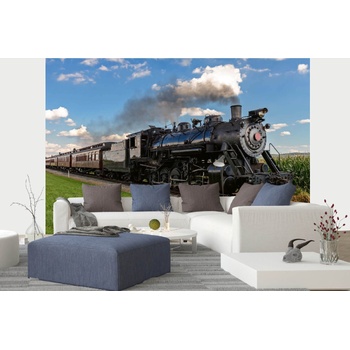 DIMEX ART s. r. o Самозалепваща се флизелинова фототапета исторически парен локомотив 375 x 250 см