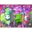 Heye - Puzzle Cool Cattle - Striped Cows - 1 000 piese