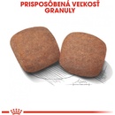 Krmivo pre psov Royal Canin Giant Adult 15 kg